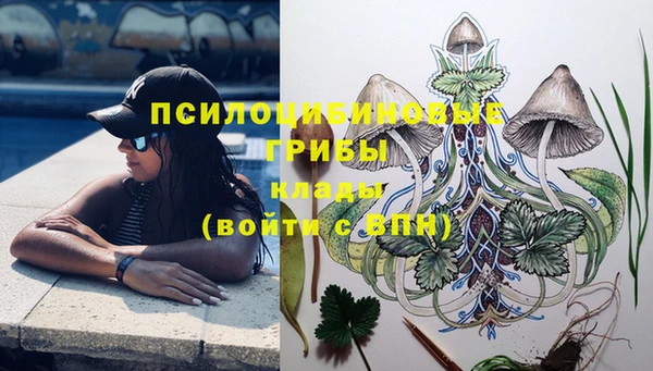 apvp Майский